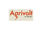 Observed Symptoms and Behaviors in Dairy Cows