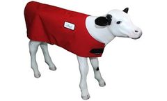 Golden Calf - Small Calf Jacket with Support Strap