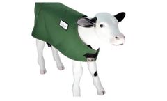 Golden Calf - Green Extra Large Calf Jacket