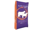 Sure Champ - Cattle