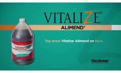 Vitalize Alimend - Video