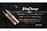 Vita Charge Gel - Video