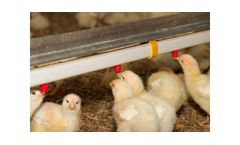 Big Dutchman - Broiler Drinking System