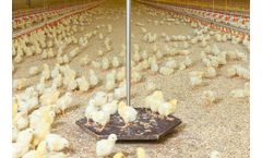 Big Dutchman - Model Swing 20 - Versatile Poultry Scale