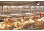 FlexLED - Flexible Tube Lamp - Poultry Production