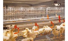 FlexLED - Flexible Tube Lamp - Poultry Production