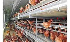 NATURA - Model Nova - Modern Aviary System