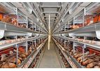 EUROVENT - Model EU - Enriched Colony System for Layers - Egg production
