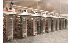 Model ST - Poultry Egg Collection Elevator
