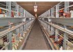 EUROVENT - Model Parents - Modern Manure Belt System for Layer Breeders