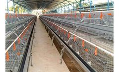 SuperDoubleDeck & SuperTripleDeck - Expandable Management Systems for Laying Hens