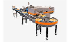 BigPacker - Professional Farm Egg Packer
