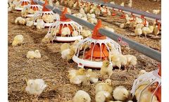 FLUXX - Model 330 & 360 - Broiler Feed Pan