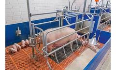 ActiWel - Variable-Restraint Farrowing Pen