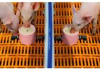 CulinaCup - Suckling Pig Feeding Systems