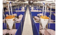 Housing Equipment for Modern Piglet Rearing and Finishing