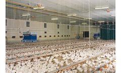 HeatMaster - Hot-Water Convection Livestock House Heater