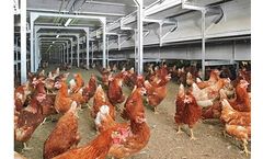 NATURA - Model Colony - Aviary System