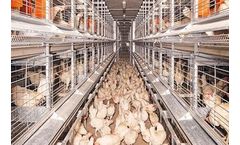 NATURA - Model 70 - Aviary System