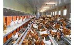Metal Slats - Manure drying