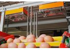 EggCam - Poultry Egg Counting System