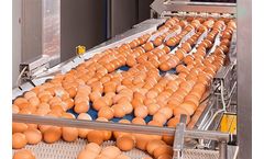 EggFlow - For Digital Egg Collection System