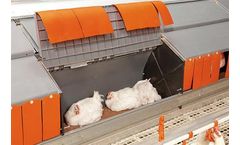 Nesca - Poultry Scale for Broiler Breeders