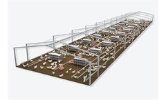 Hand Gathering Nest without Manure Pit