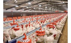 ReproMatic - Feeding System for Broiler Breeders
