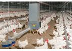 MaleChain - Broiler Chain Feeding System
