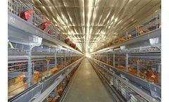 UNIVENT - Parents-AI Modern Broiler Breeder Housing System