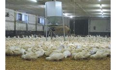 Poultry Spin Feeder