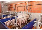 EasySlider - Sows