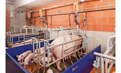 EasySlider - Sows