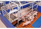 Farrowing Area