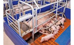 Farrowing Area