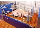 Model BD - Free-Movement Farrowing Pen