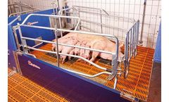 Model BD - Free-Movement Farrowing Pen