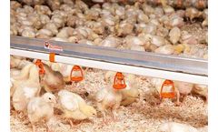 PremiumDrinker - Poultry Drinker Water Supply