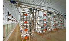 AviMax - Sliding Broiler Colony System
