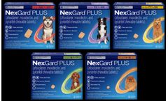 NexGard - Model Plus - Afoxolaner, Moxidectin and Pyrantel Chewable Tablets