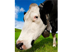 DVM TempTrack - Automatic Livestock Health Monitoring Systems