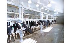 Turner - Release Parallel Cow Stalls