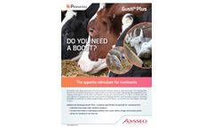 Gusti - Model Plus - Appetite Stimulant Feed - Brochure