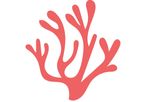 Calmin - Calcareous Marine Algae
