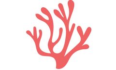 Calmin - Calcareous Marine Algae