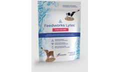 Feedworks Lytes - Oral Electrolyte Calf Supplement for Calves