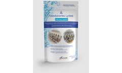 Feedworks Lytes - Oral  Supplement for Calf Ranch