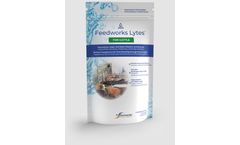 Feedworks Lytes - Oral  Supplement for Cattle
