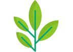 Agolin Ruminant - Plant-Based Feed